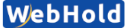 WebHold Internet Bt. logo